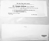 Image Associated With the Occurence